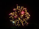 dcp 2489