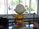 dcp 0975